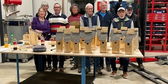 Fuglekassebygning 2